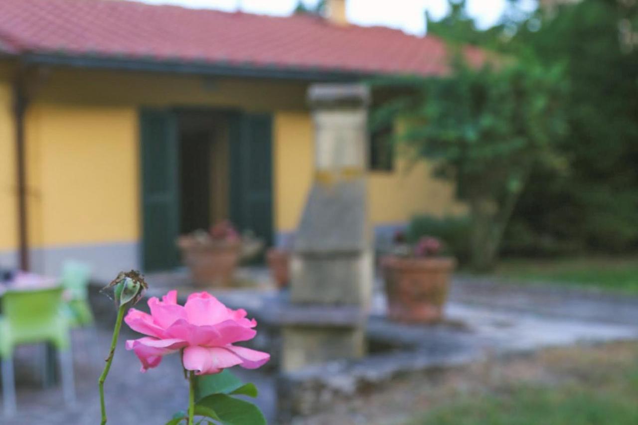 Casa Con Giardino In Mugello A 30 Minuti Da Firenze "Soleluna" Osteria di Novoli Eksteriør bilde